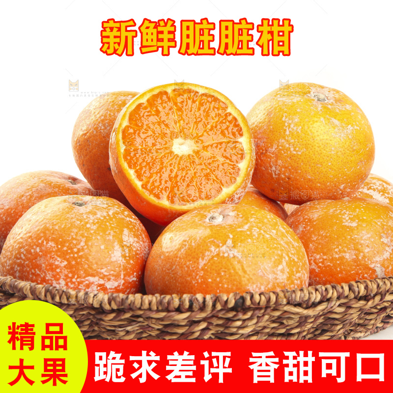 白底上放着一筐广西武鸣茂谷柑
