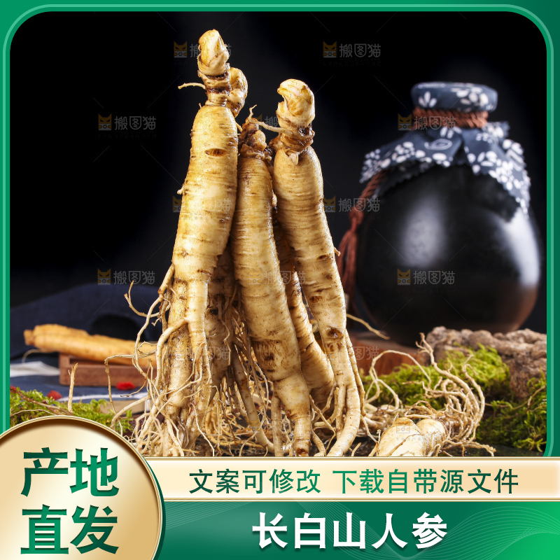 黑石板上的东北人参