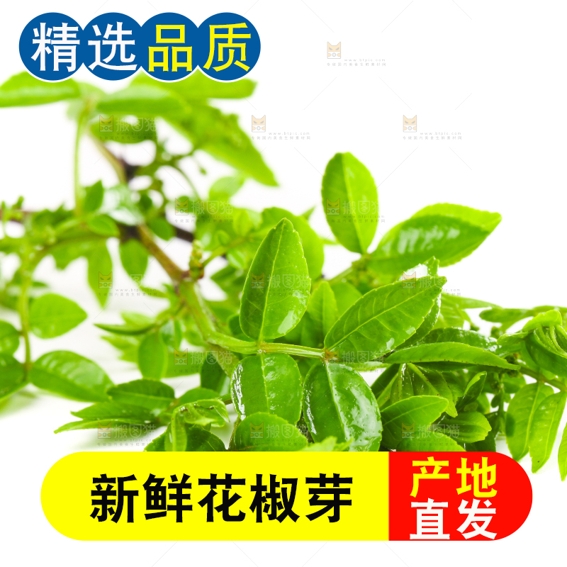 白底上放着花椒芽