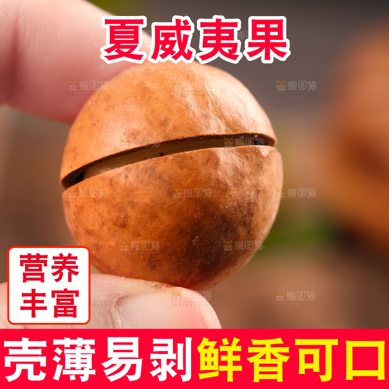 手拿夏威夷果