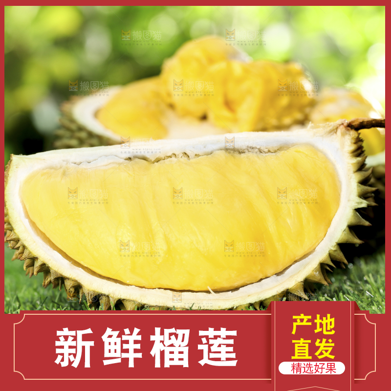 草地上摆放着甲仑榴莲