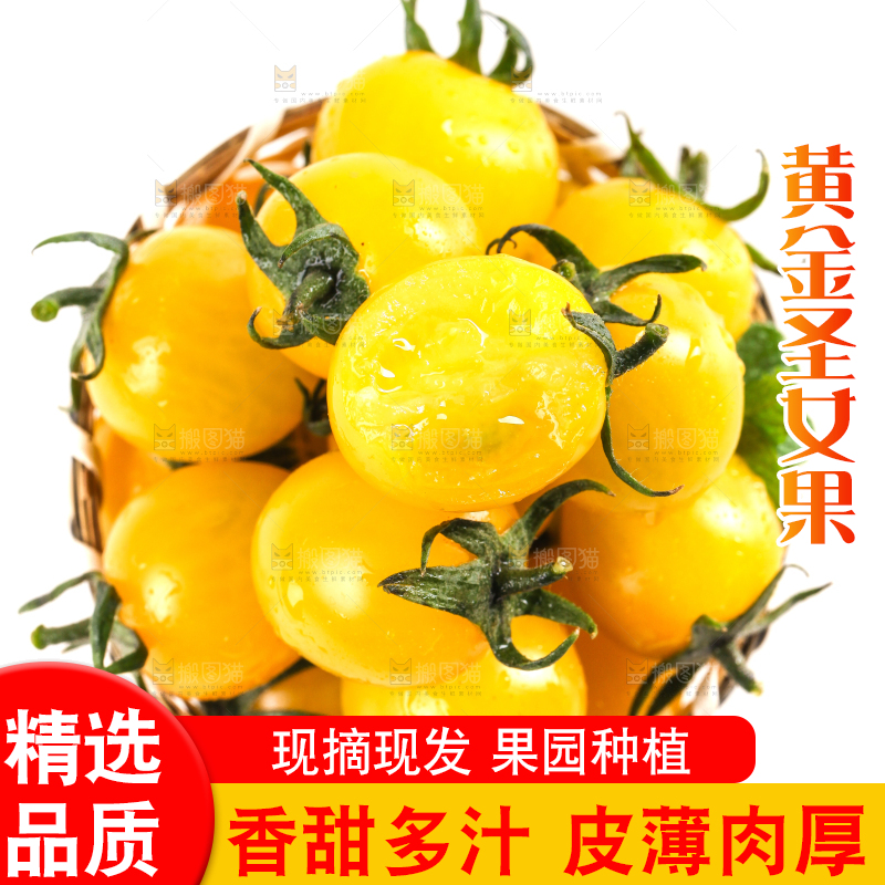 一筐黄金圣女果放在白底上