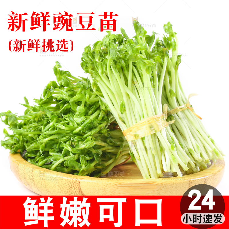 盘子里装着豌豆芽菜