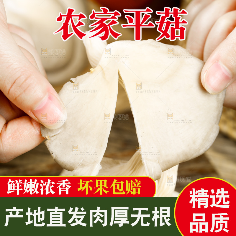 手拿撕开的平菇