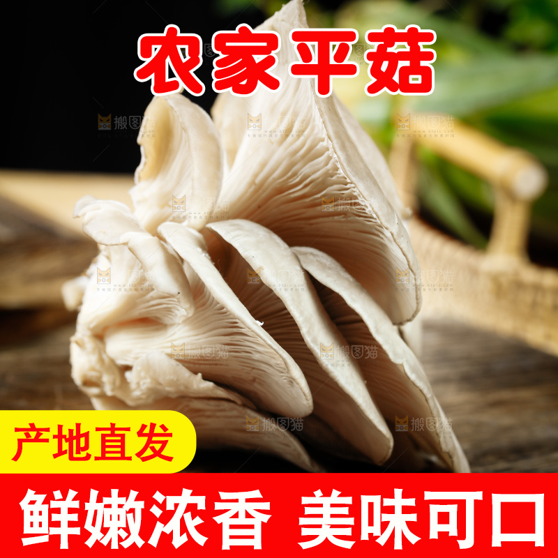 木底上的新鲜平菇