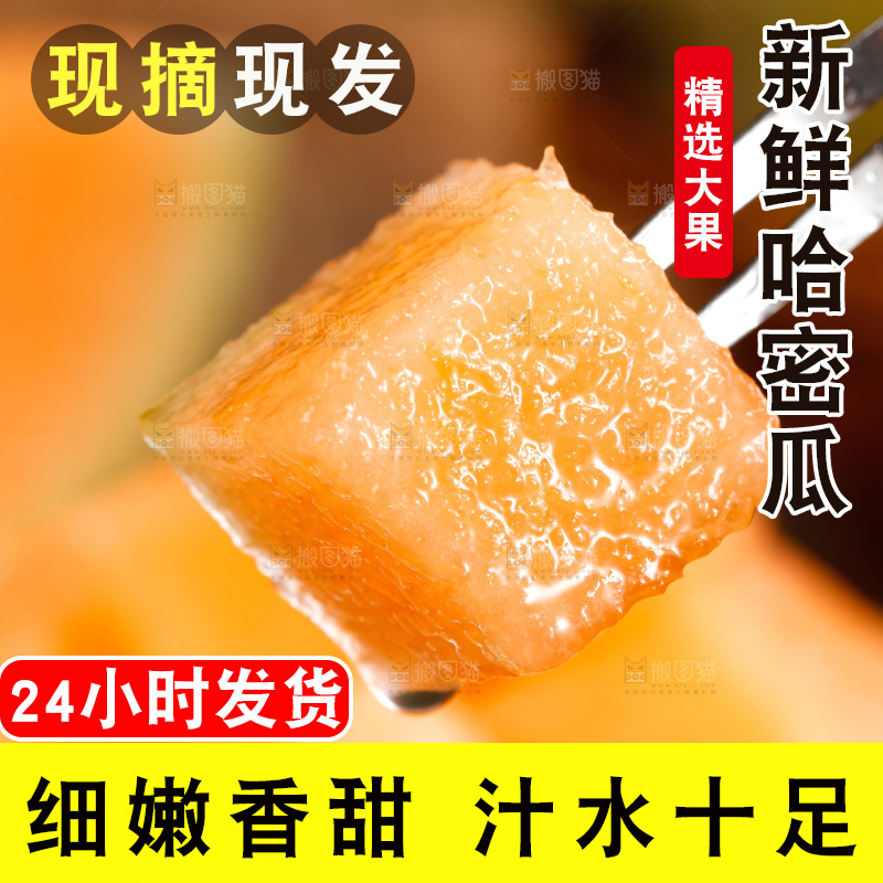 哈密瓜主图