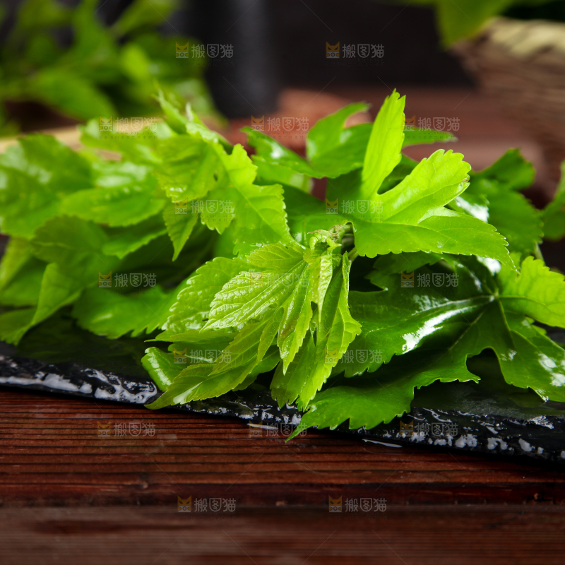 黑石板上放着新鲜桑叶