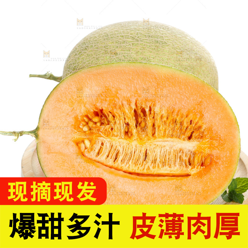 白底上放着一盘切开的海南哈密瓜