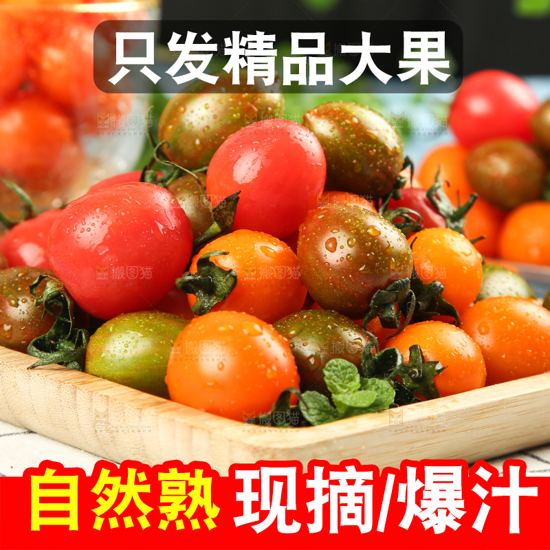格子布上放着一盘三色圣女果