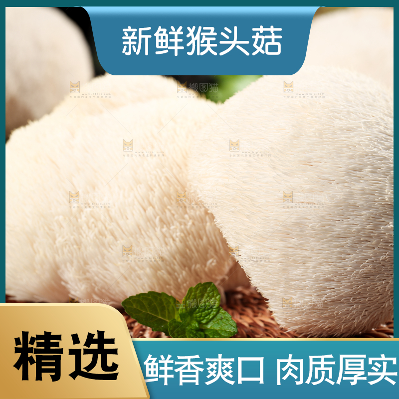 竹底上的云南新鲜猴头菇