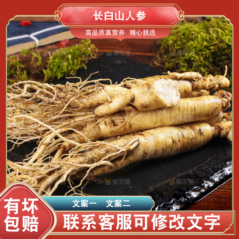 黑石板上的东北人参