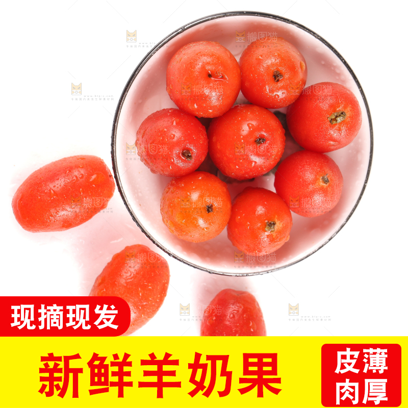 一盘新鲜的胡颓果放在白底上