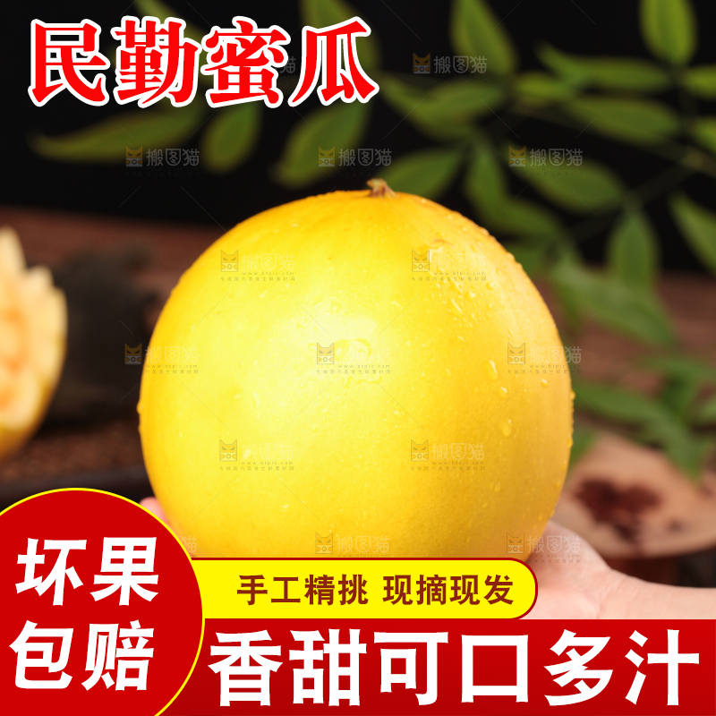 手拿新鲜黄河蜜瓜