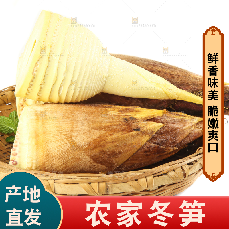 白底上放着一筐黄泥冬笋
