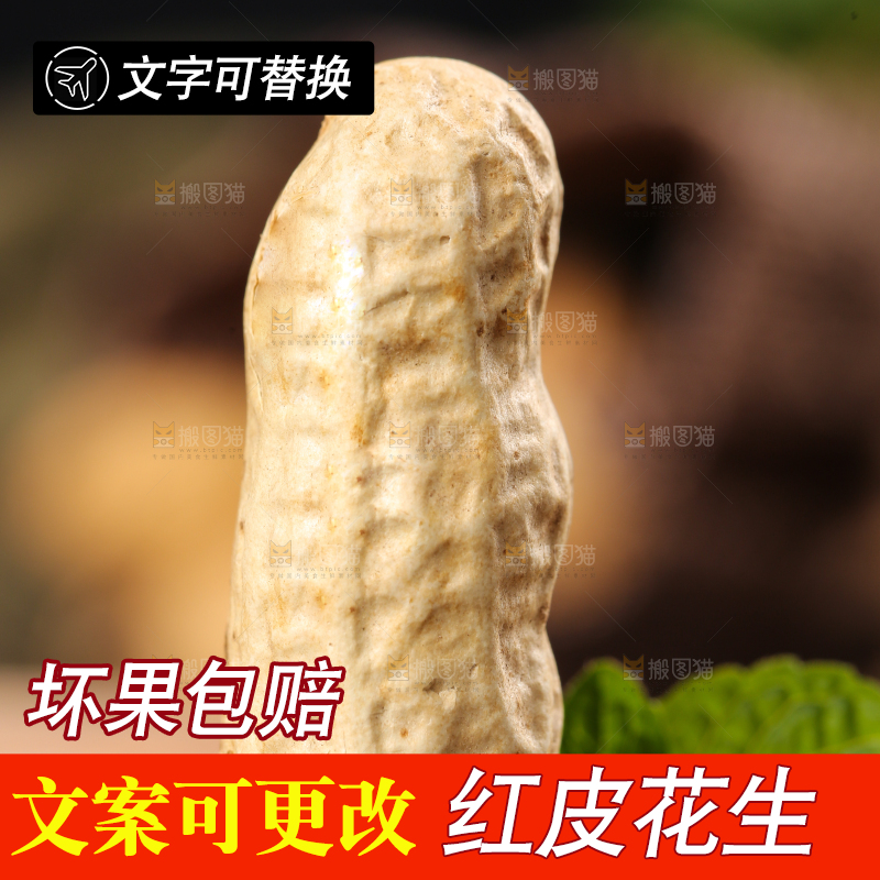 木底上放着新鲜红皮花生
