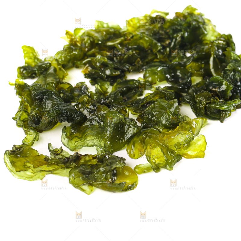 白底上的地皮菜
