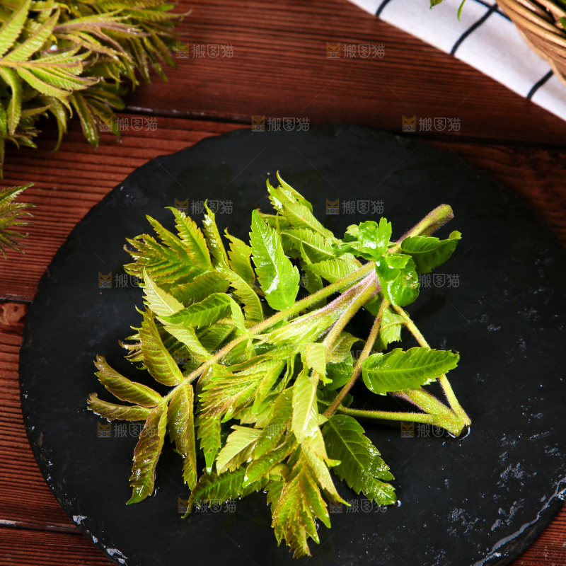 黑石板上的山东香椿芽