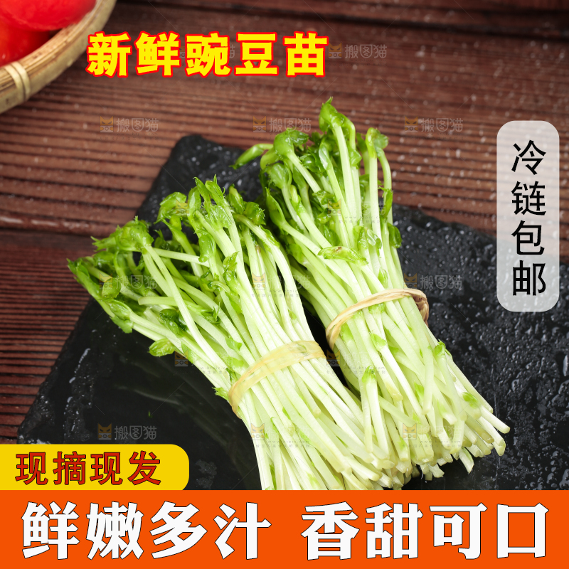 黑石板上的豌豆芽苗菜