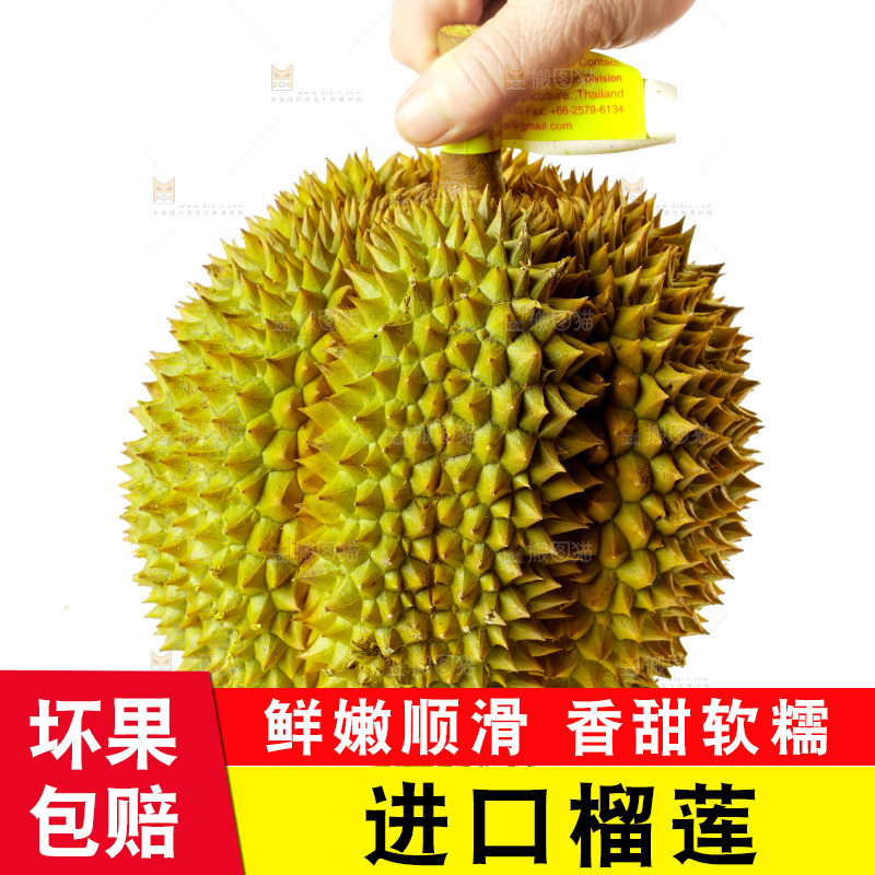 榴莲主图