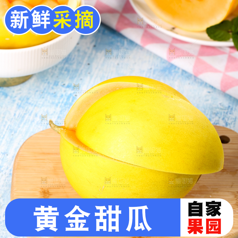 浅底上的黄河蜜瓜