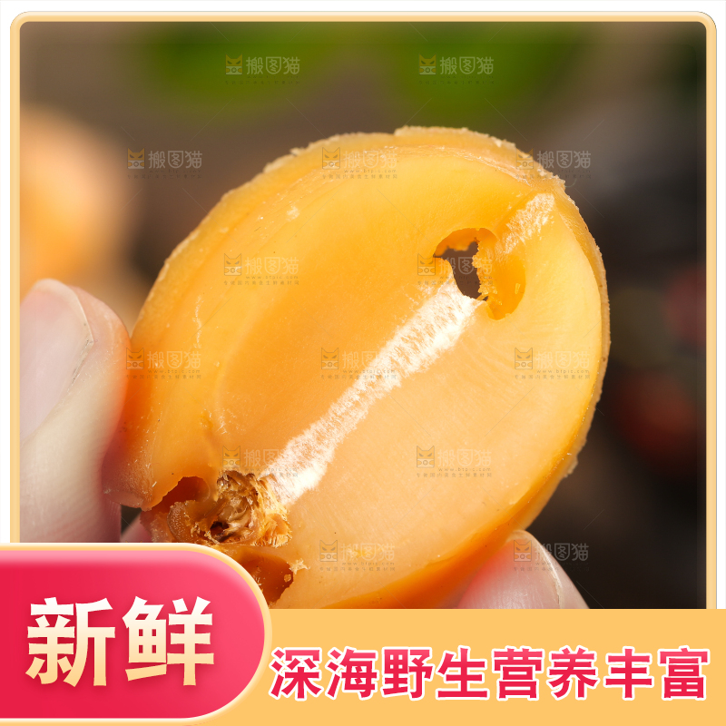 手拿干鲍鱼