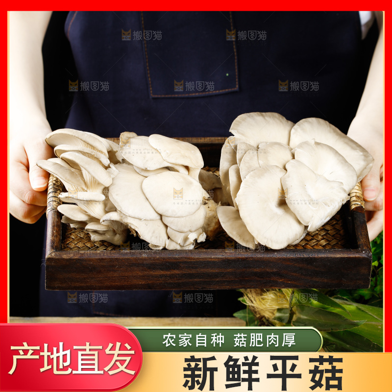 手拿一盘平菇