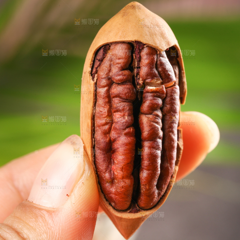 手拿碧根果