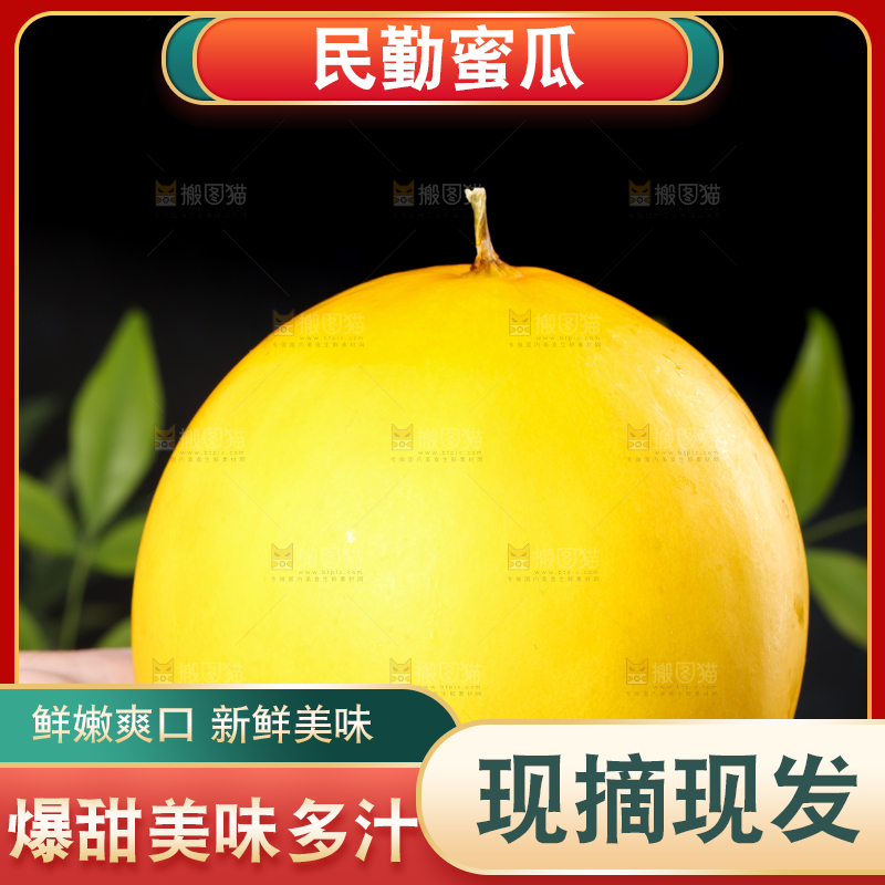 手拿新鲜的黄河蜜瓜