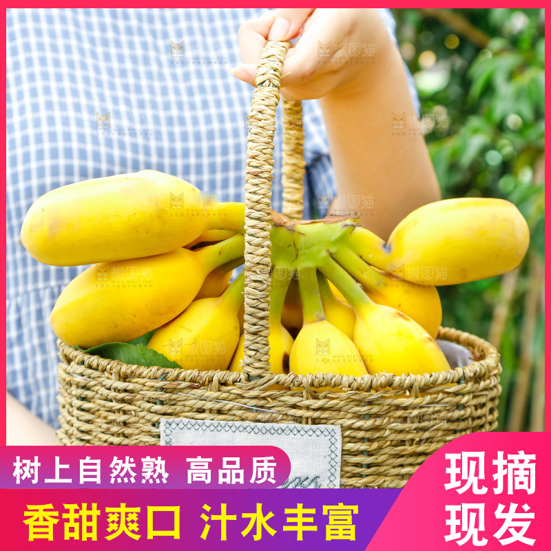 手拿一筐新鲜苹果蕉