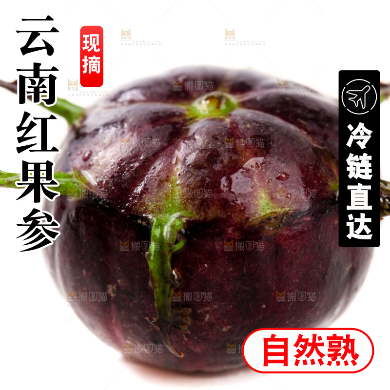 白底上的红果参