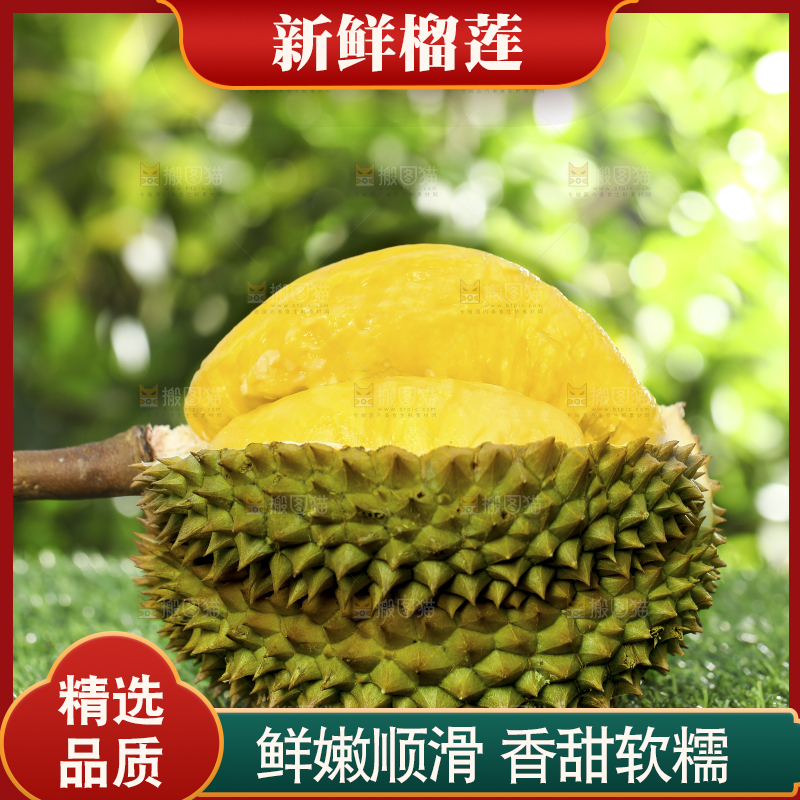 榴莲主图