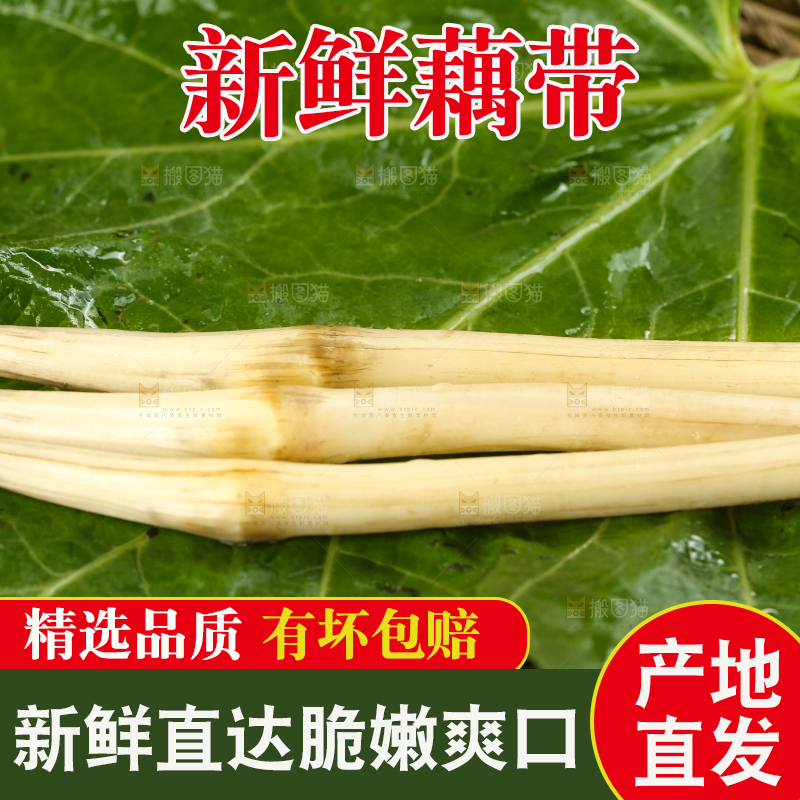 荷叶上放着洪湖藕带