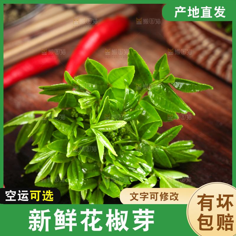 木底上的麻香花椒芽