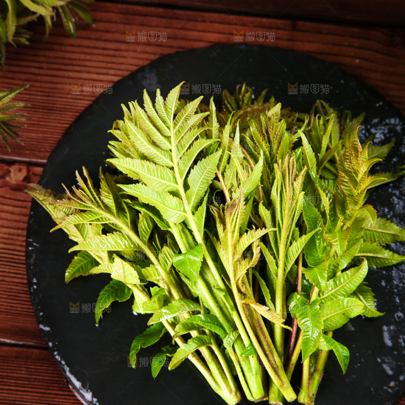黑石板上的香椿芽