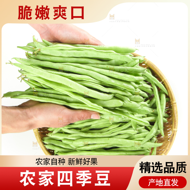 手里拿着鲜嫩四季豆