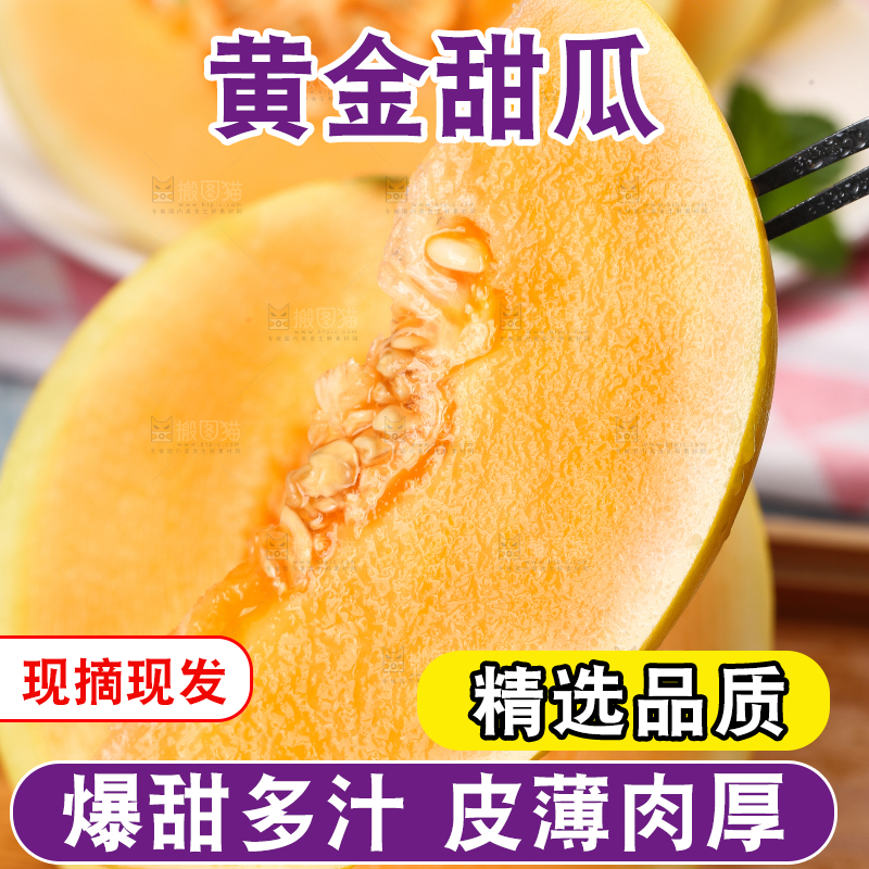 叉子叉着黄河蜜瓜
