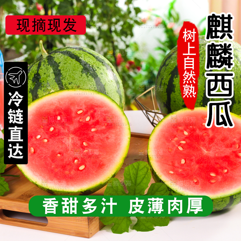 浅底上放着切开的红肉西瓜