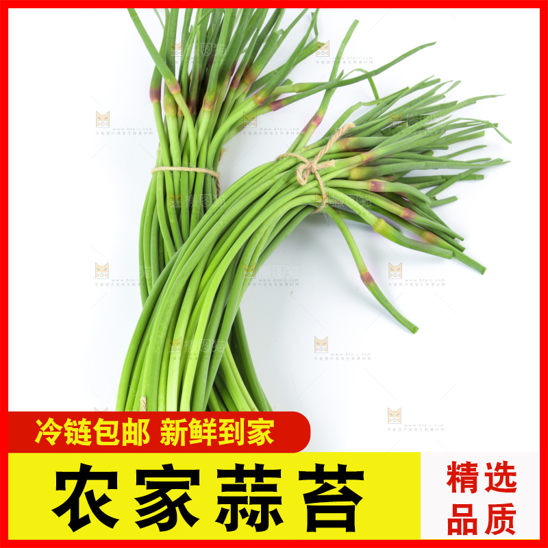 白底上的河南蒜苔