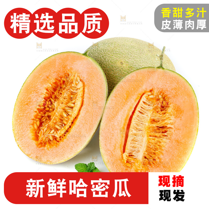 白底上放着切开的新疆哈密瓜