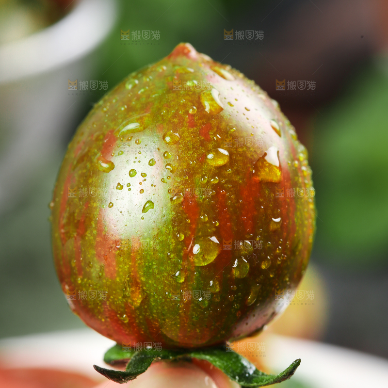 手拿迷彩圣女果