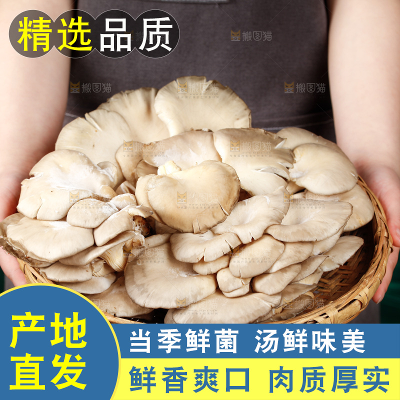 手拿一筐新鲜平菇