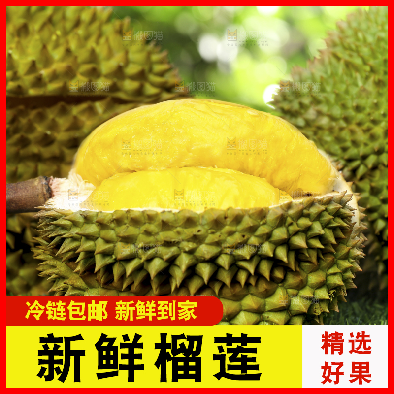 草地上摆放着甲仑榴莲