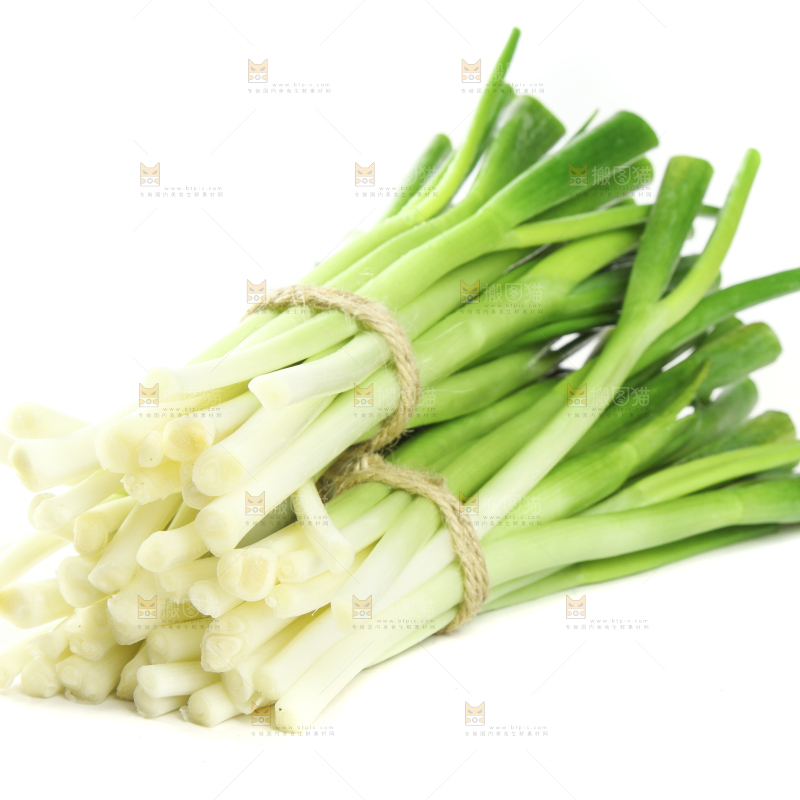 白底上的大葱