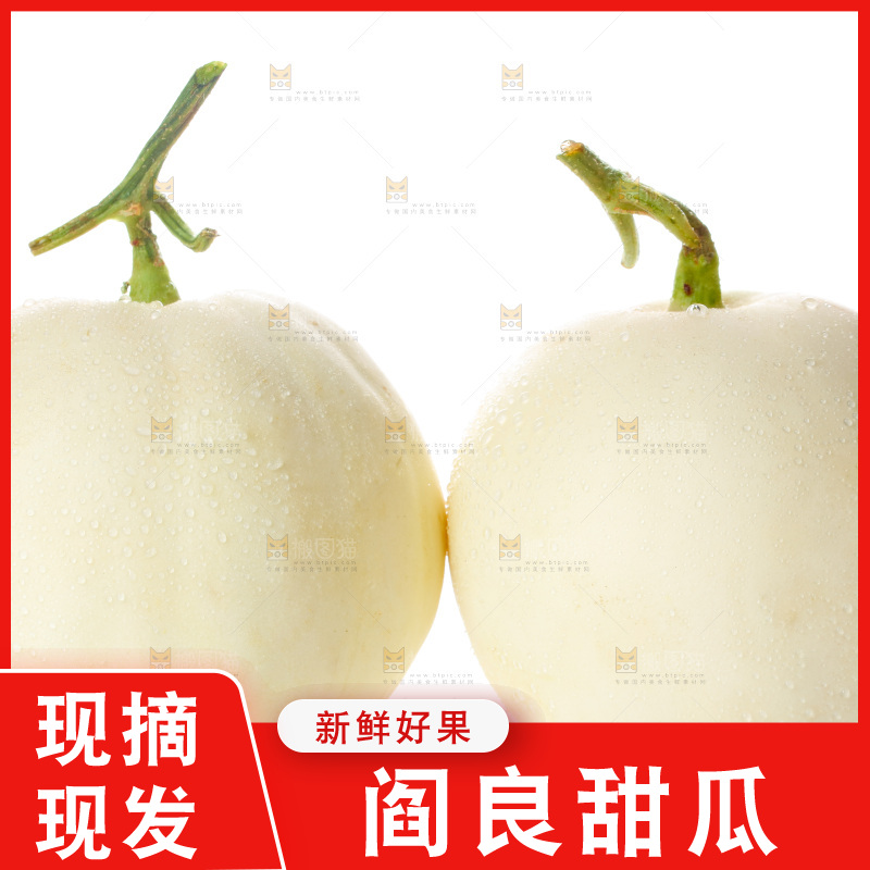 白底上的阎良甜瓜