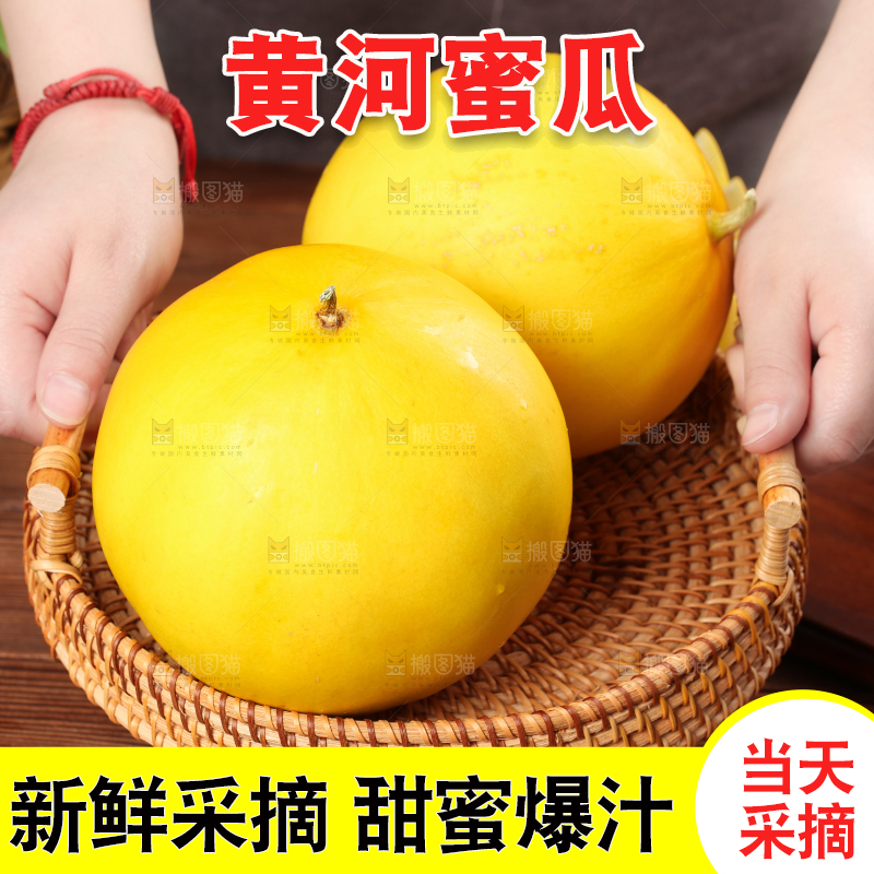 手端一盘黄河蜜瓜