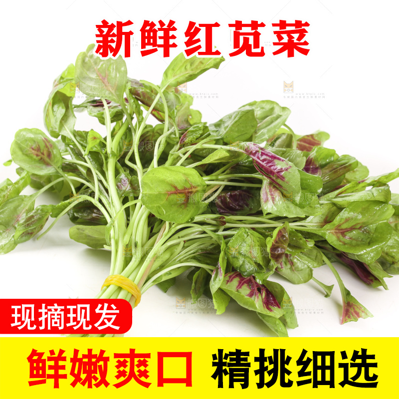 白底上的红苋菜