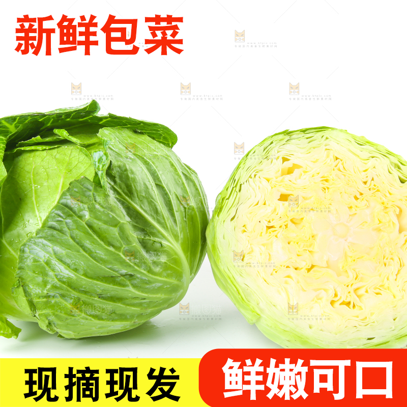 切开的包菜放在白底上