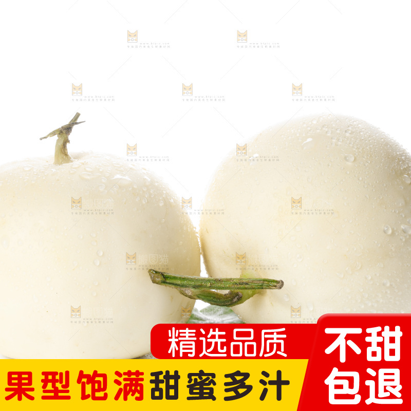 白底上的阎良甜瓜