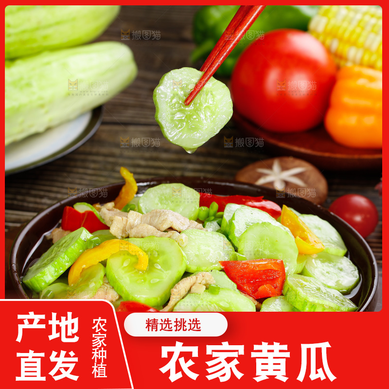 筷子夹着熟黄瓜