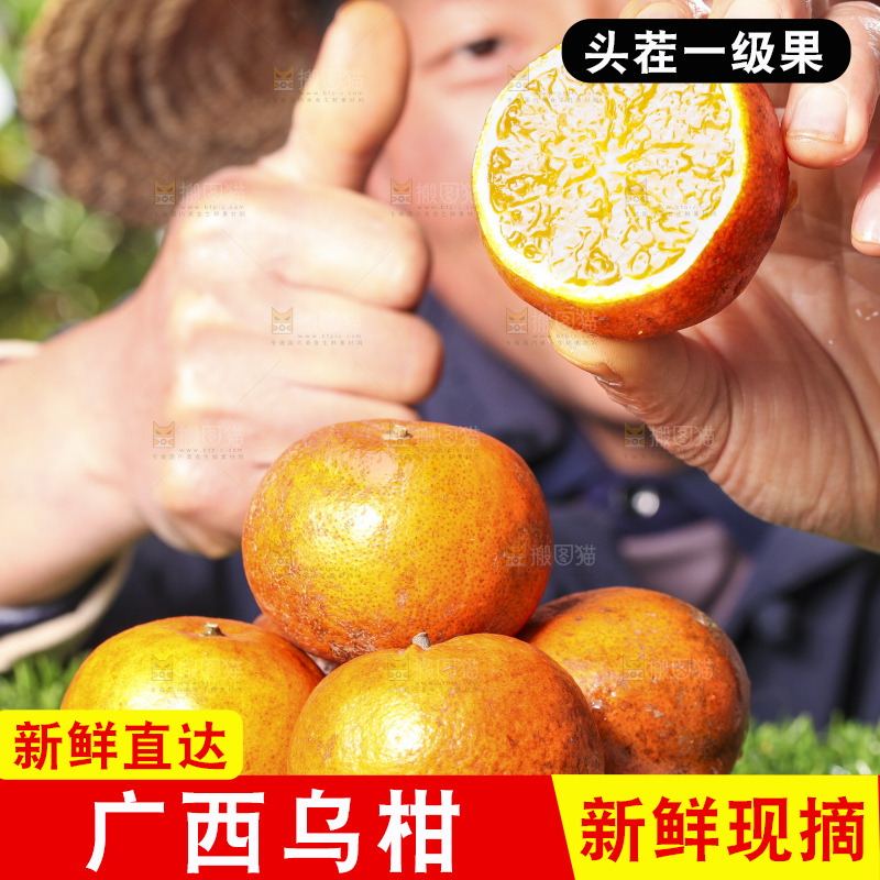 手拿切开的乌柑